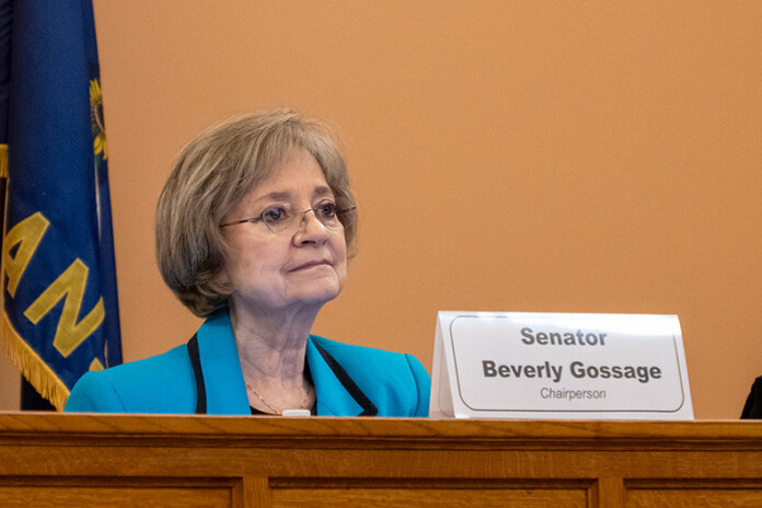 Sen. Beverly Gossage spoke this week about the importance of creating a new department, the Kansas Early Childhood Office, to get all child-care governance under one umbrella.
