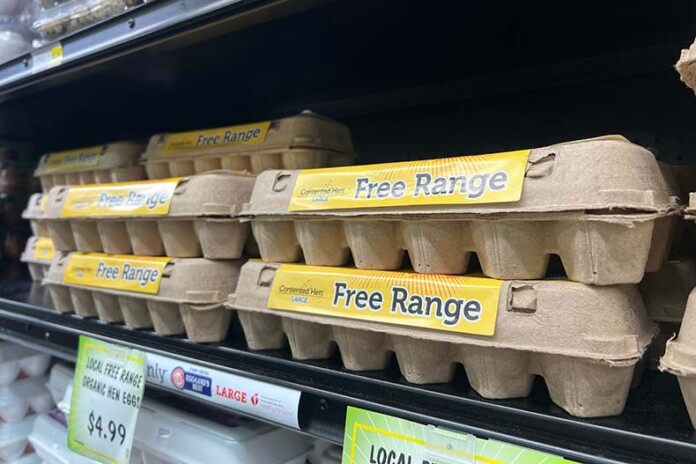 WFM eggs